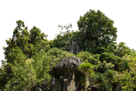 景观国民旅行白色背景的绿林隔离岩山丘HorkMoholdHill图片