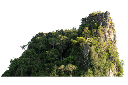 白色背景的绿林隔离岩山丘HorkMoholdHill场地抽象的树图片