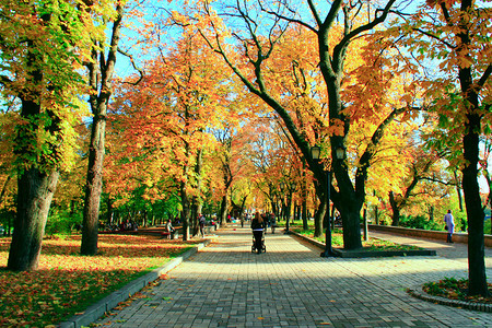有长廊小径和大树的秋季公园有长廊小径和大树的秋季城市公园天美丽的图片