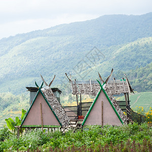 场地户外门14农耕区和山上居住的农业及宅在农耕附近种植图片