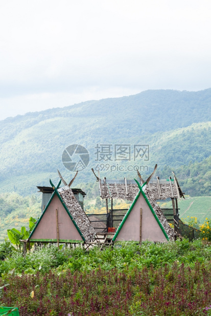 自然春天谷农耕区和山上居住的农业及宅在农耕附近种植图片