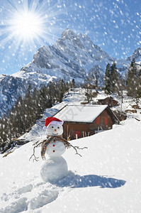 问候顶峰胡萝卜雪人对抗阿尔卑斯山全景图片