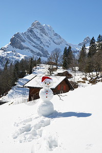 乐趣雪人对抗阿尔卑斯山全景高胡萝卜图片