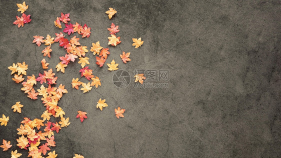 质地绿色具有复制空间的美丽自然概念平板图片