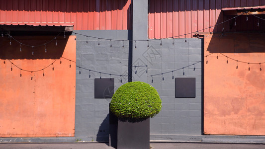 颜色金属门前圆形绿灌丛在灰块墙背景和挂弦灯泡外部建筑装饰概念上有2个空白黑标签的灰块墙底和挂线灯泡滑动正方形图片