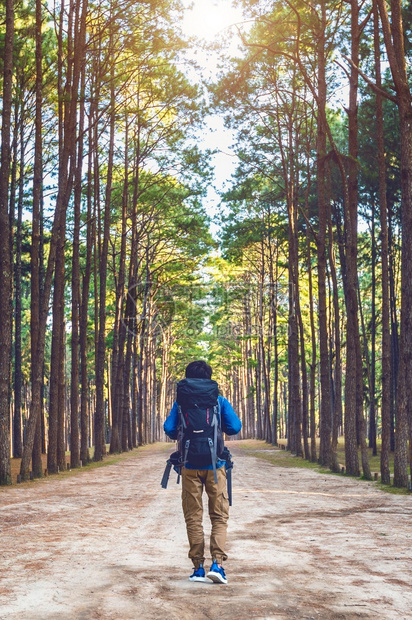 徒步男子背包在森林中行走绿色景观男图片