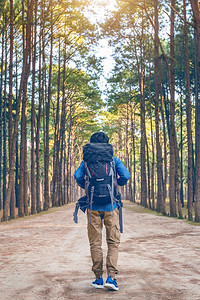 男步行健康徒男子背包在森林中行走图片
