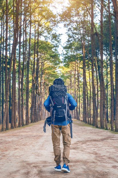 男步行健康徒男子背包在森林中行走图片