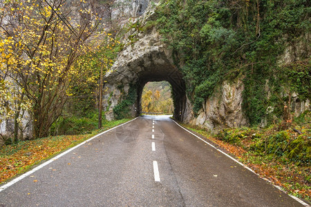 西班牙阿斯图里亚Somiedo自然公园山丘地表的石隧道路夏天曲线景观图片