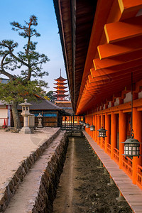 古老的日落时在本宫岛的神社水历史图片