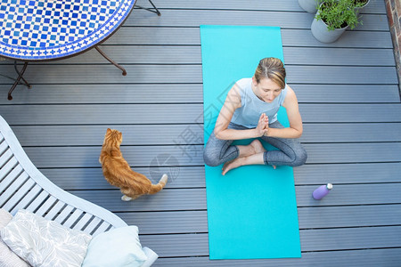 在家里与YogaOnDeck上瑜伽进行冥想时使用宠物猫的自然女超版视图人们中间在职的图片