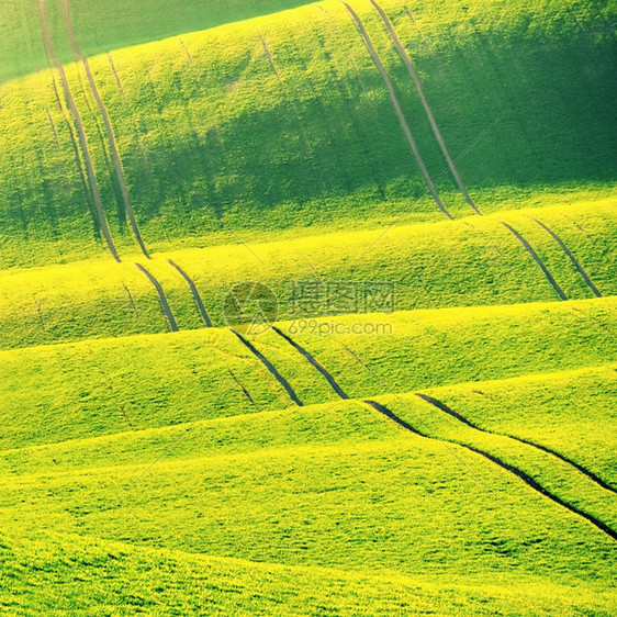 景观农场美丽的春天风景在日落时有一片草丘自然的波浪摩拉维安托斯卡尼捷克欧洲莫拉瓦图片
