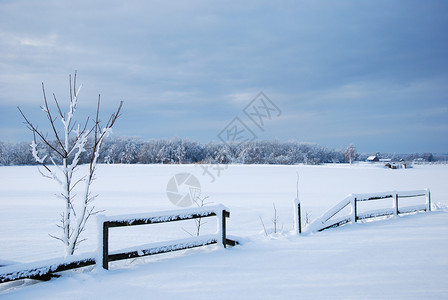 下雪的复制树丛中断裂的木栅栏圣诞节图片