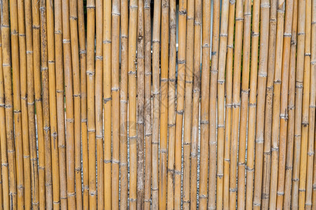 光滑的亚洲人抽象竹栅栏布料背景的形态图片