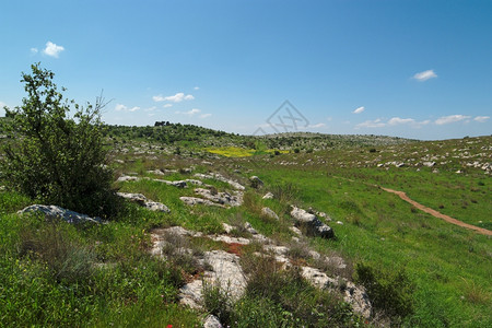 以色列云春季的青地中海河谷在山丘之间莫丁图片