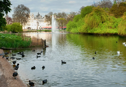 圣詹姆斯公园湖背着马卫和伦敦之眼保护睛詹姆士图片