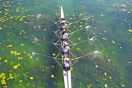 竞赛力量团队合作四位女在蓝湖上划船队空中观图片