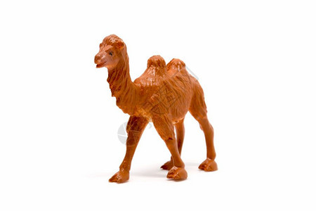 进步卡通片在白色背景上孤立的骆驼模型动物玩具塑料白色的图片