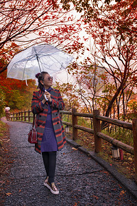 秋季森林道路上撑着伞的女性图片