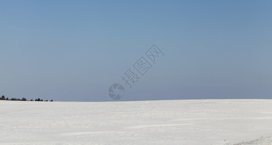 阳光明媚的冬季风景与蓝天和田地上积雪树木在地平线上生长寒冷的农田美丽图片