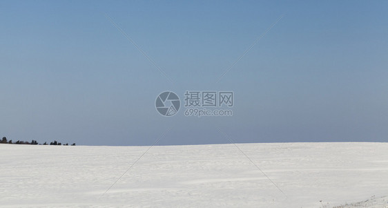 阳光明媚的冬季风景与蓝天和田地上积雪树木在地平线上生长寒冷的农田美丽图片