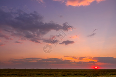 乡村的天空景观夏日夕阳多彩在草原平上有明亮的乌云在夏日青草原上有彩色的日落图片