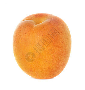 甜点季节白底孤立的李梅杏树水果酱图片