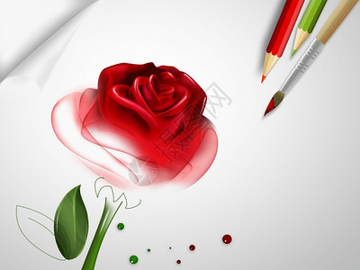 纸上涂着半双彩玫瑰花的有创造力自然图片