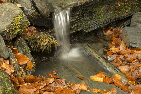 秋季小溪瀑布图片