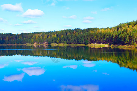 旅行美丽的森林湖与松中的翡翠水美妙自然景观水全野生自然与翡翠水的森林湖美丽泊全景绿色假期图片