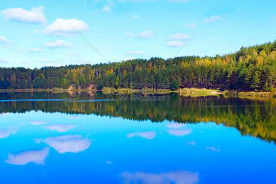 旅行美丽的森林湖与松中的翡翠水美妙自然景观水全野生自然与翡翠水的森林湖美丽泊全景绿色假期图片