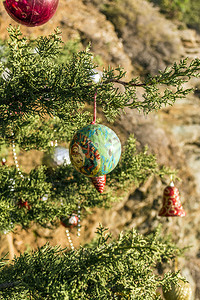装饰品喜庆的自然背景下森林中装饰的圣诞树森林中装饰的圣诞树图片