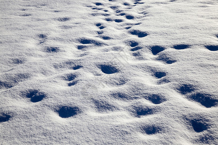 在地表大雪降后积下之后人们和土壤结构的痕迹有不规则之处在大雪降后有人和土壤结构接近雪流等级预报那里图片