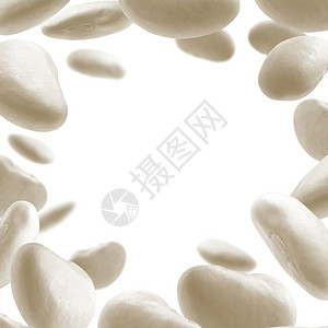 粮食桩白豆漂浮在色背景上豆漂浮在色背景上框架图片
