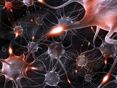 微观的受体3d神经元插图联系图片