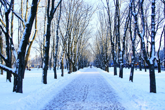 寒冷的冬季城市公园天美丽的公园有很多大树和雪道现代的外部图片