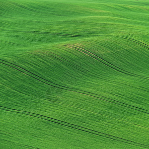田野上的波浪莫拉维亚托斯卡尼捷克线条欧洲夏天图片