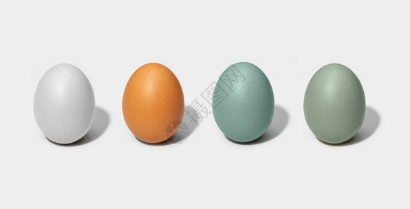 加利纳健康白色背景中分离的一组鸡蛋白色棕绿和蓝鸡蛋生物图片