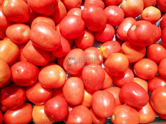 橙营养近距离接大量新鲜西田番茄背景食物图片