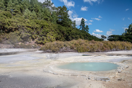 火山地热WaiOTapu公园新西兰蒸汽图片