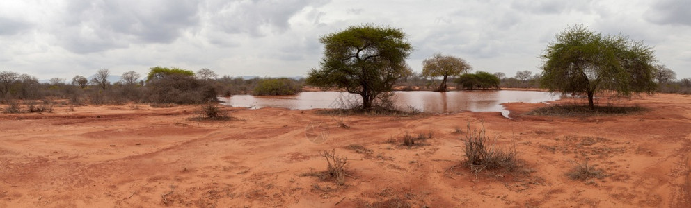 非洲人绿色公园肯尼亚稀树草原上一个小湖的景观图片