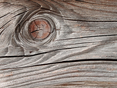 控制板木材古老的制天气板详细节年环在明光阳下破碎和淡化的表面紧闭戒指图片