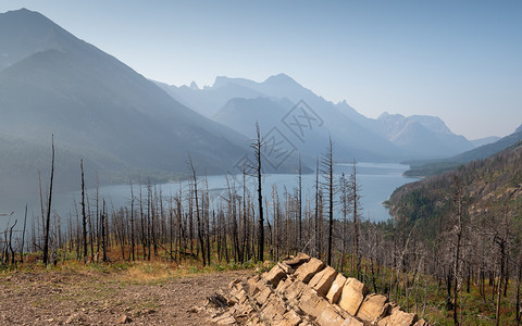 Waterton湖水顿公园景观蓝色天空加拿大艾伯塔生物群落环境的图片