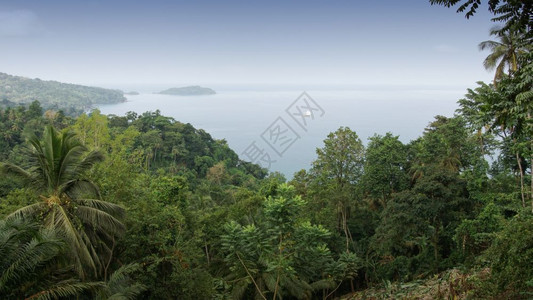 生物群落圣多美和普林西比非洲岛北海岸圣多美和普林西比农村游客图片