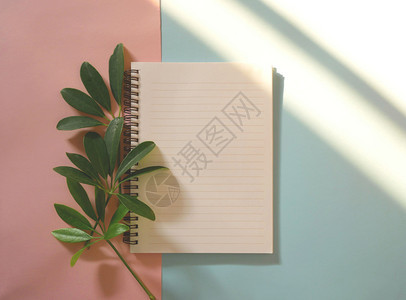 植物热带最小的蓝和粉红背景空白笔记本的春假绿叶图片