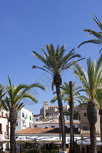 老的拥有大教堂和旧城巴利阿里群岛的伊比萨镇Eivissa建筑学西班牙图片