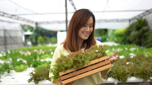 年轻的乡村自然在水利农场收获新鲜蔬菜的亚洲女妇肖像图片