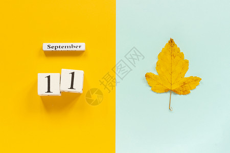 秋季作文木制日历9月1日和黄色蓝背景上的黄秋叶顶视图平躺样机概念你好月秋季作文木制日历月作品笔记本蓝色的图片