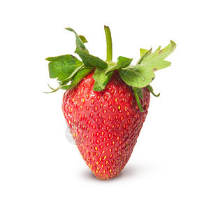 生态的在白色背景上隔离的单一成熟多汁草莓农场收成图片