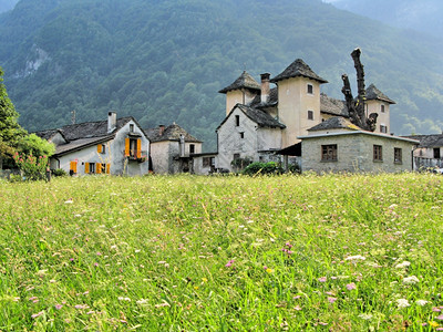 典型的瑞士南部Verzasca山谷的老拖拉多建造屋顶图片